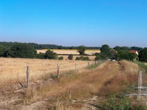 B&B / Chambres d'hotes Gite et camping a la ferme avec espace detente - Profitez de la campagne du Berry - FR-1-591-558 : photos des chambres
