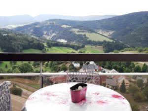 Appartements Studio cabine 4 pers, station Cote 2000, tout equipe - FR-1-689-138 : photos des chambres