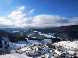 Appartements Studio cabine 4 pers, station Cote 2000, tout equipe - FR-1-689-138 : photos des chambres