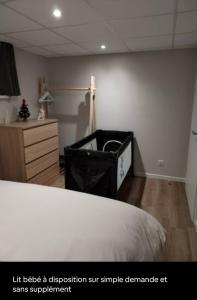 Appartements Gite le petit wintz entre ville et vignes avec son parking et jardin privatif : Appartement 1 Chambre