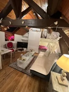 Charmant studio rénové et équipé - Champigny-sur-Yonne