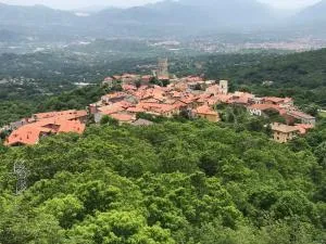 Domus Felix - Quadrelle