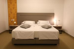 VINOTEL BRZICA Aljmaš