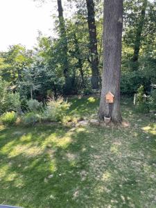 Appart très cosy en rez de jardin