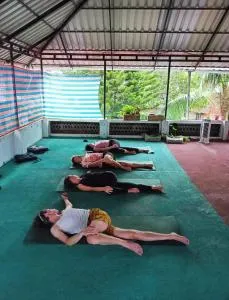 Yogaland And Ayurveda - Vagamon