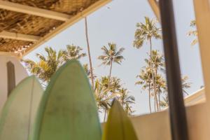 Surf Lodge Madiha