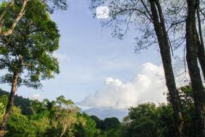 Baan Saket Dao, Ban Saket Dao, Doi Saket, Chiang Mai