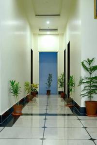 Hotel Dior Near Jal Mahal, Jaipur