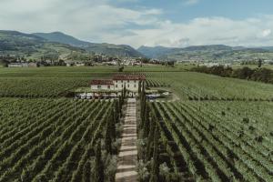 Dimora Buglioni Wine Relais