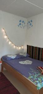 Siedlisko Urszulanka Domek