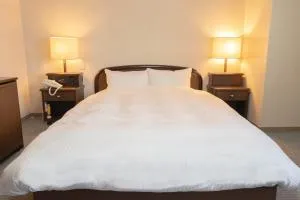 Hotel Alpha Inn Akita - Vacation STAY 67293v - Yurihonjo