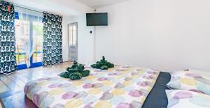 Apartments Dreamland 