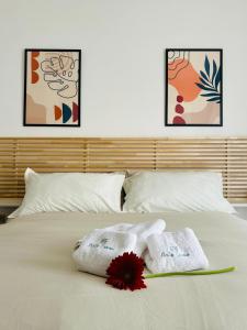 Bella Canosa casa vacanza con 3 camere da letto e posto auto custodito - 3hvězdičkové hotely ve městě Canosa di Puglia