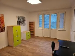 Steffens PANTA RHEI - Pressbaum