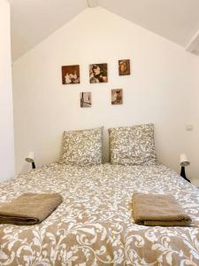 Appartements Espace cosy - Zenith & Atlantis : photos des chambres