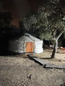 B&B / Chambres d'hotes Au Soleil Mongol : photos des chambres