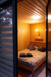 Brīvdienu māja Jaunzvīņas