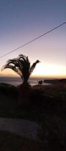 Greco Levantes Villas