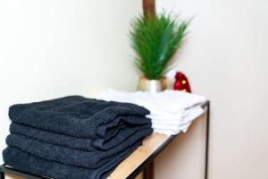 Appartements Refuge des Vignerons - Turckheim : photos des chambres