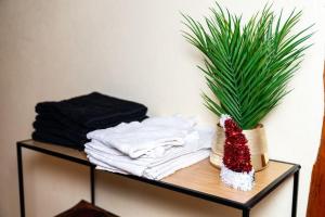 Appartements Refuge des Vignerons - Turckheim : photos des chambres