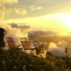 Minca Sintropia - Sustainable Lodge & Organic Coffee Finca - 米卡