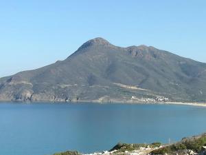 Rosemary Flavor img13