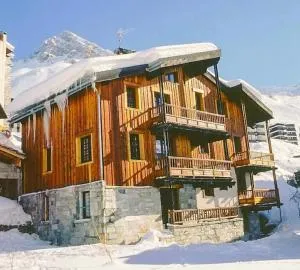 Grand Chalet - Appartement 5pax au pied des pistes - parking - skiroom - cheminée décorative- balcons - 蒂涅