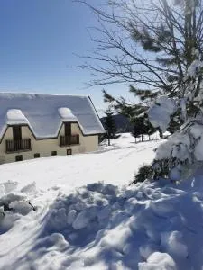 Casa Vrelo, Golija - Raška