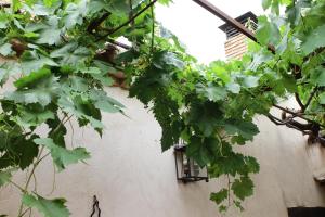 Apartametos rurales la Higuera de José