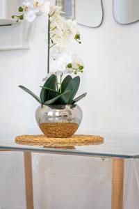 Appartements Leandre studio entierement renove avec exterieur : photos des chambres