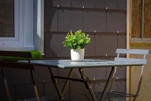 Appartements Leandre studio entierement renove avec exterieur : photos des chambres