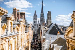 Appartements Solent joli F2 proche Jardin des Plantes a Rouen : Appartement 1 Chambre