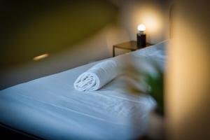 Appartements Le Reve dore proche de la Gare ! : photos des chambres