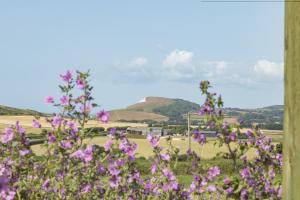 11 Bee Hive, Camp Tapnell
