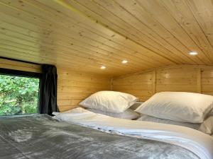 Dandylion House by Tiny Away