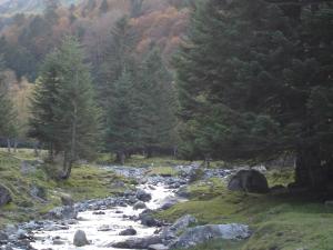 Hotels Gite Auberge Les Cascades : photos des chambres