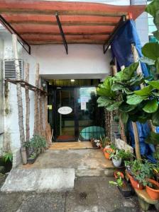 RAINFOREST Budget Stay