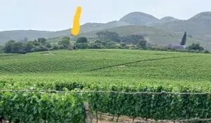 The GOAT shed - Simondium