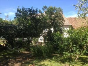 Maisons de vacances Maison conviviale avec jardin a Vauban, 4 chambres : photos des chambres