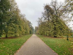 Bright London Retreat Near North Acton Tube
