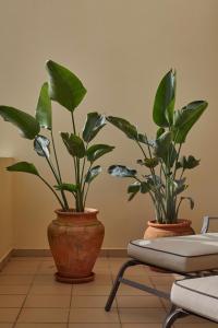 Casa Terra with Pool & Free WiFi