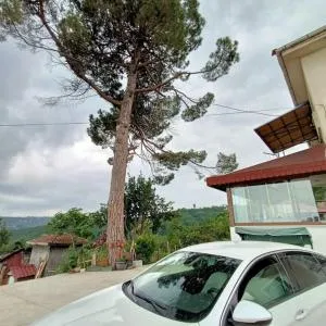 Nizzy House VILLA TAŞ EV - 奥尔杜