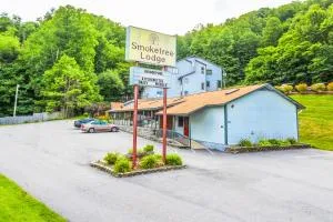 Smoketree Lodge - Spruce Pine