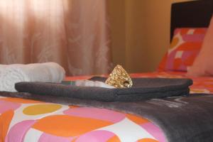 Self-catering rooms Florida