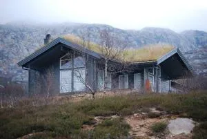 Flott hytte på Smølåsen Tjørhom - Fidjeland