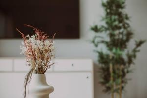 Sarelen 3, paz y excelente ubicación