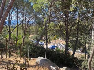 CALA SINZIAS, 150 mt dalla splendida spiaggia img14