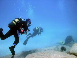Casa D Joao Enes - Afife Residence
