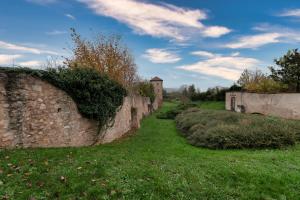 Maisons de vacances S-Husli - Maison vigneronne au coeur du vignoble : photos des chambres