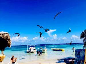 Day Pass Todo Incluido El Faro Beach Club & Restaurant Solo Experiencia no incluye alojamiento - 85 USD por persona